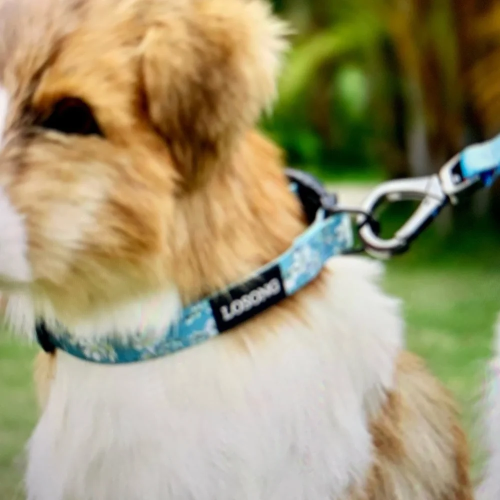 Losong Blue Floral Dog Collar